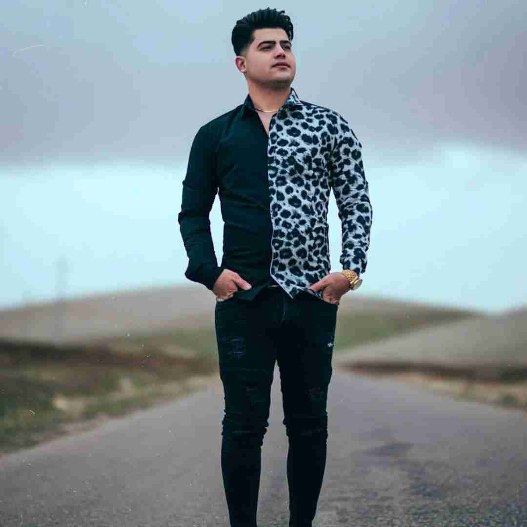 دانلود آهنگ قناری امیرحافظ رنجبر