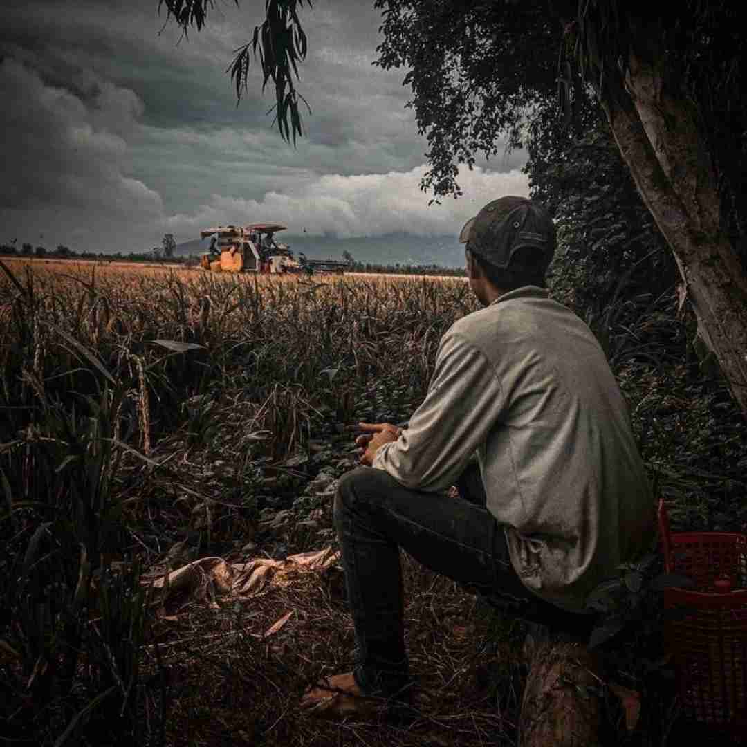 دانلود آهنگ لازمم صداتو لازممی نیستی یه تیکم نیست تیکه آخر پازلمی 