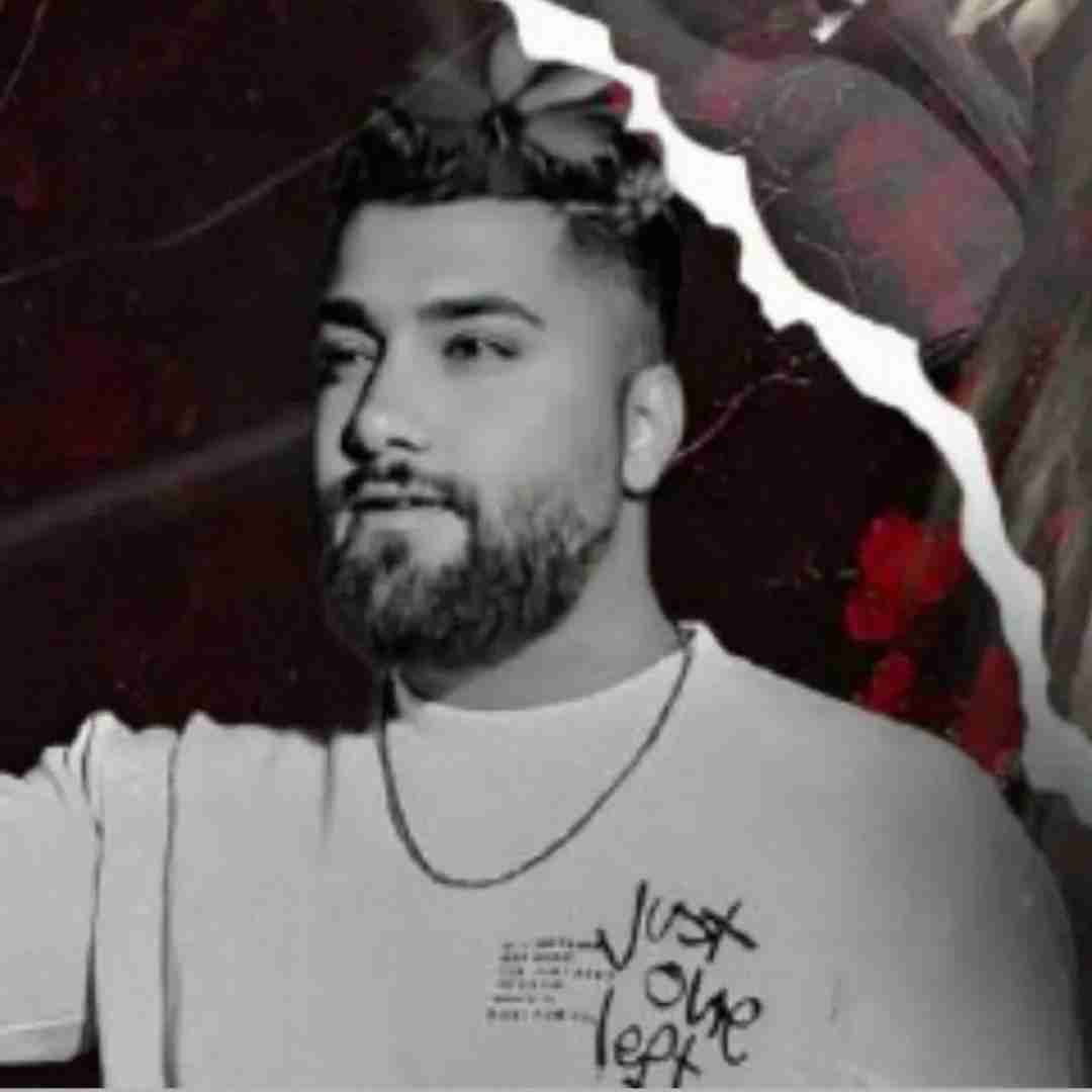 دانلود آهنگ نقره ای حامد سنجابی