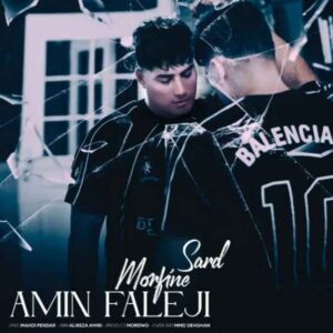 دانلود آهنگ امین فالجی به نام مورفین سرد