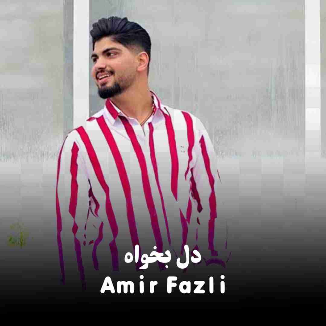 دانلود آهنگ دل بخواه امیر فضلی
