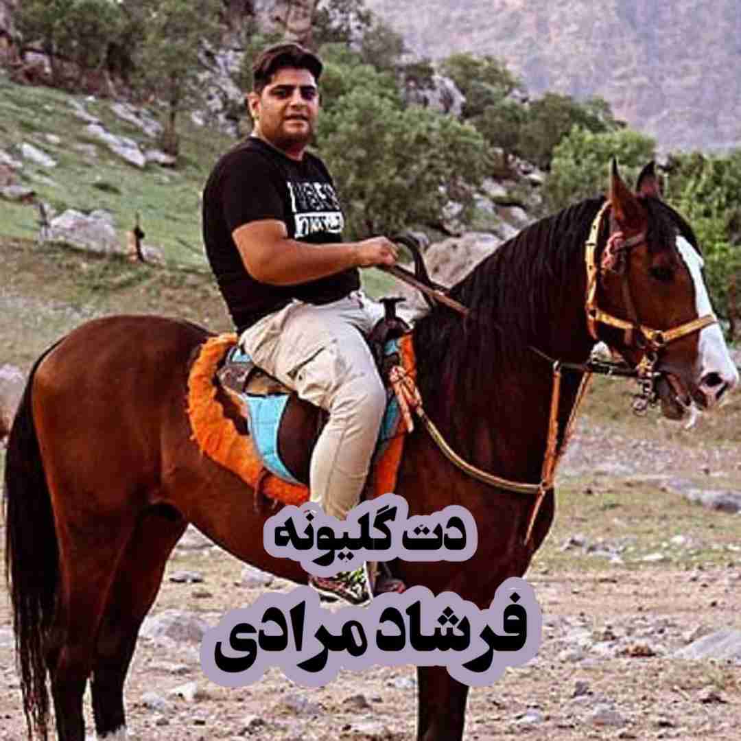 دانلود آهنگ دت گلیونه فرشاد مرادی