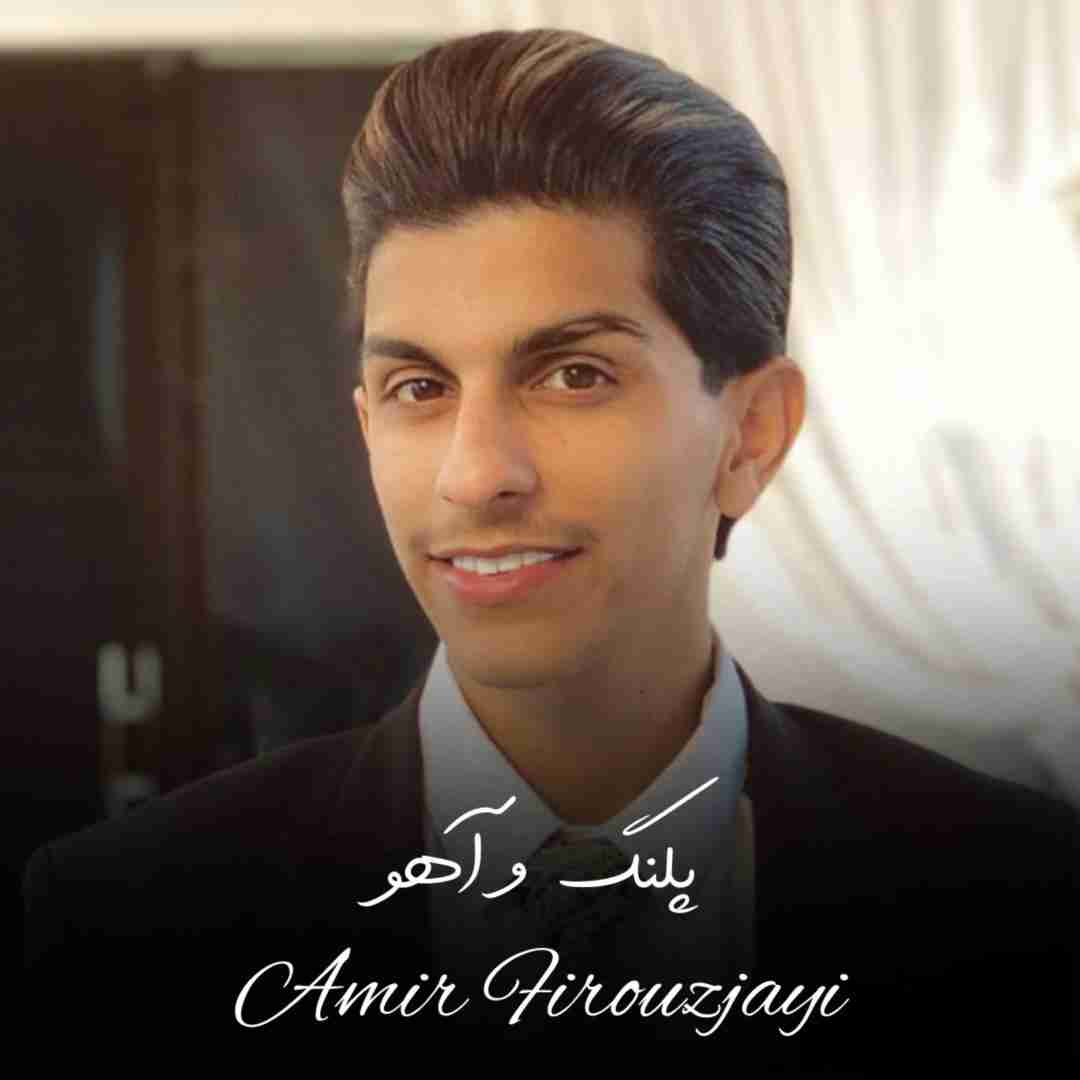 دانلود آهنگ پلنگ و آهو امیر فیروزجایی