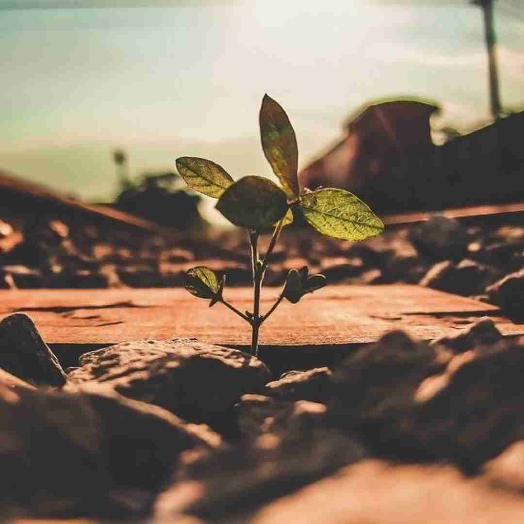 دانلود آهنگ قوی تر میشه اون که میخوره زمین