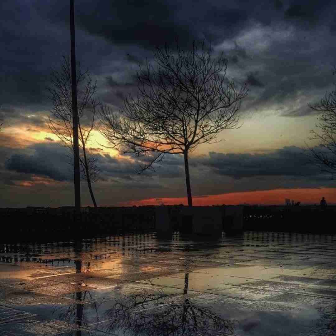 دانلود آهنگ دیگه پیشت نمیام حتی اگه از تنهایی گریه کنم