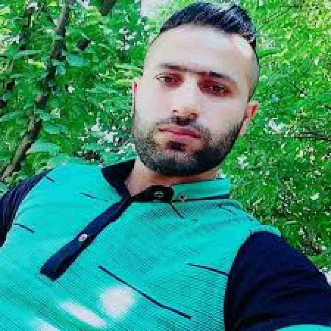 دانلود آهنگ کودتاگر بیمو شیر از قفس در بیمو وحید مرادی