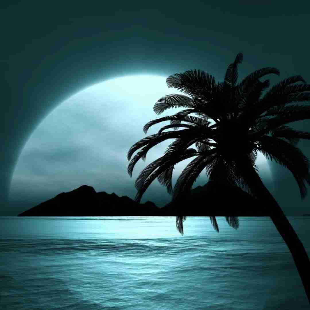 دانلود آهنگ با صدای بی صدا مثل یه کوه بلند مثل یه خواب کوتاه