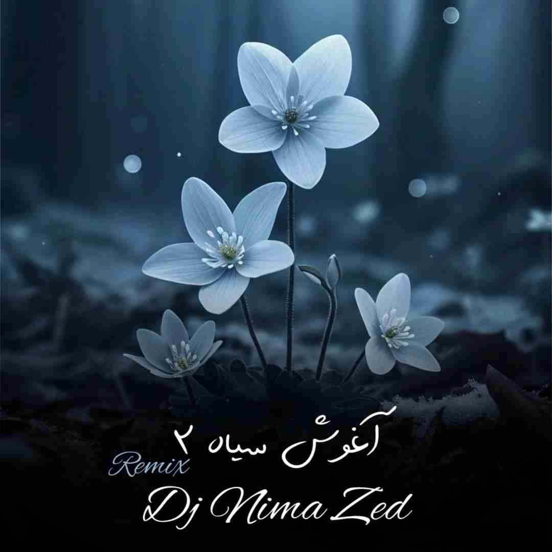 دانلود آهنگ آغوش سیاه ۲ دیجی نیما زد