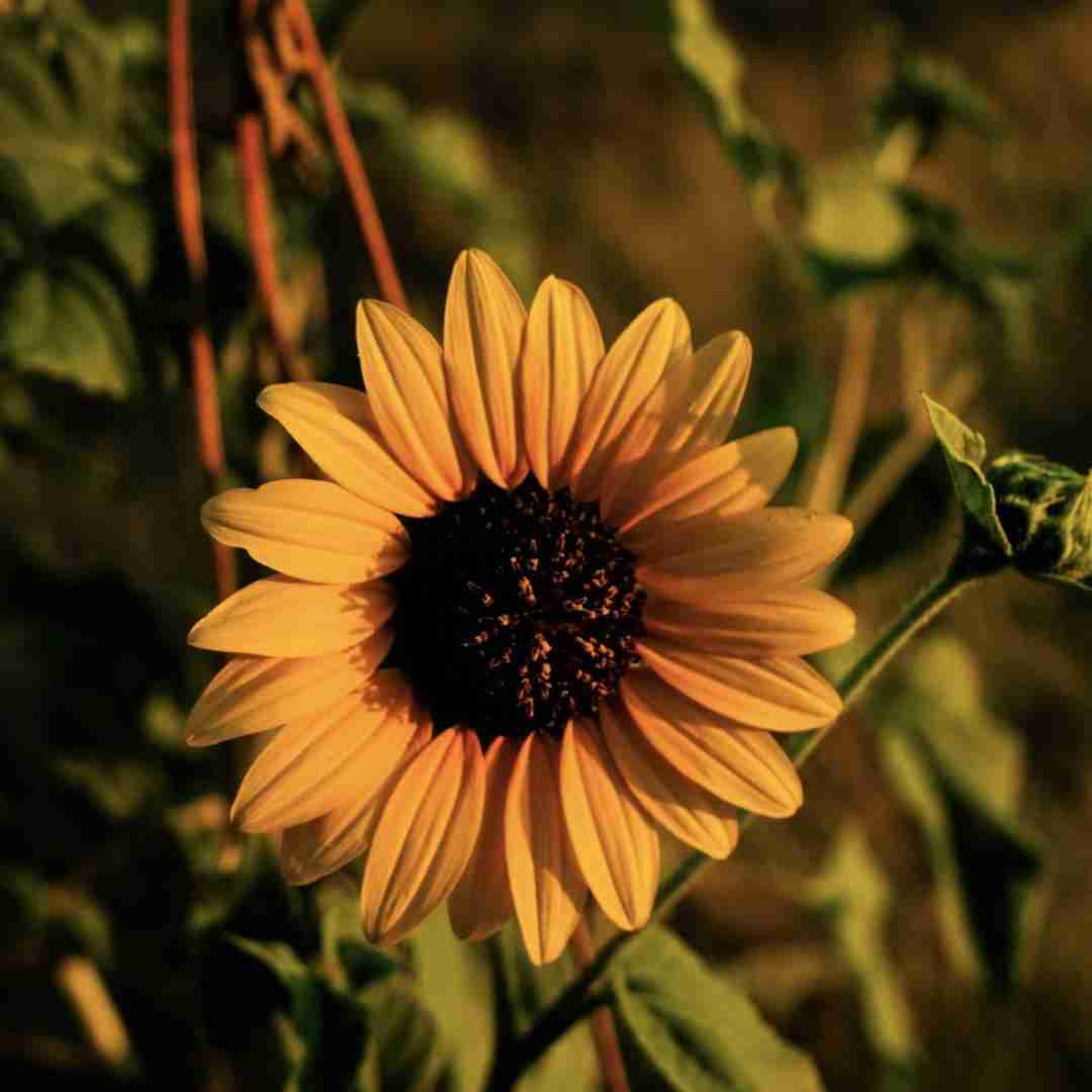 دانلود آهنگ آسمون اخماتو وا کن آبی شو با صدای پسر اینستایی