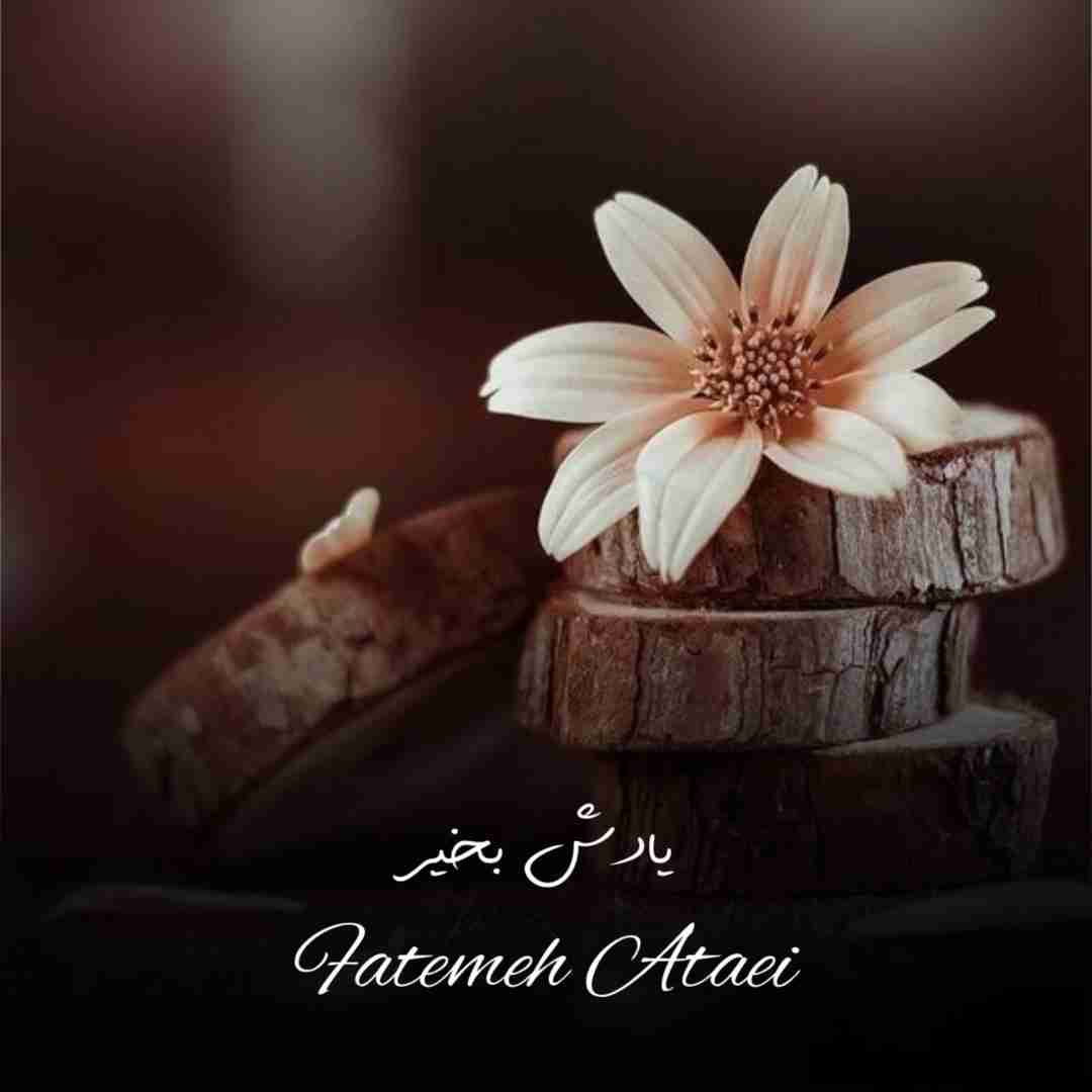دانلود آهنگ یادش بخیر فاطمه عطایی