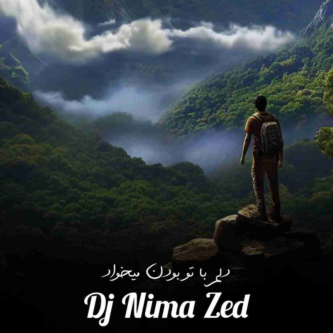دانلود آهنگ دلم با تو بودن میخواد دیجی نیما زد