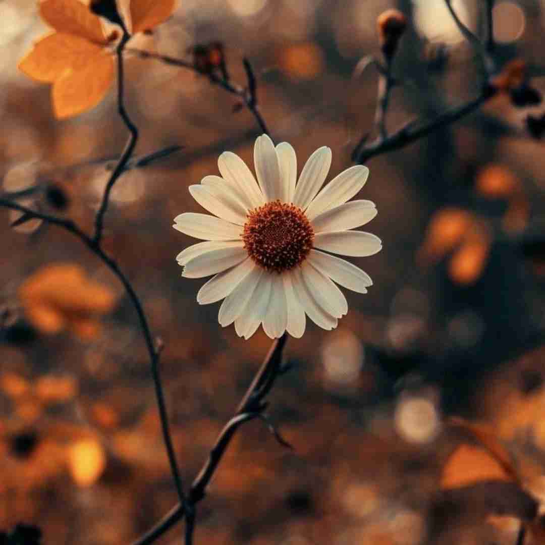 دانلود آهنگ میکرد اون گریه واسم تو لباس عروس