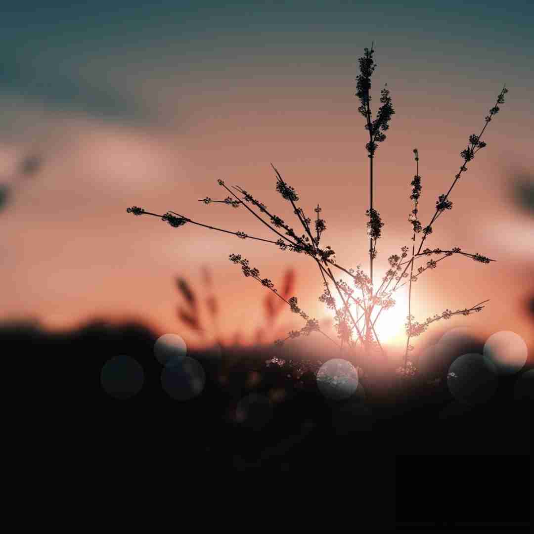 دانلود آهنگ نداره عیب دارم برات آره دارم برات 