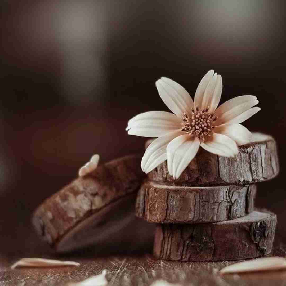 دانلود آهنگ با تو نمیخوام کدئینا رو میخوای بام بیای