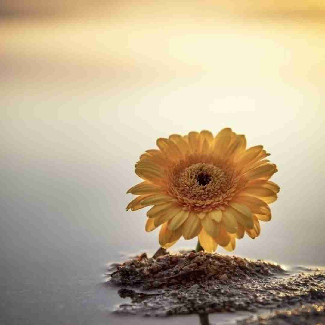 دانلود آهنگ زندگی زده دلمو همه چی بده ازم گرفتی