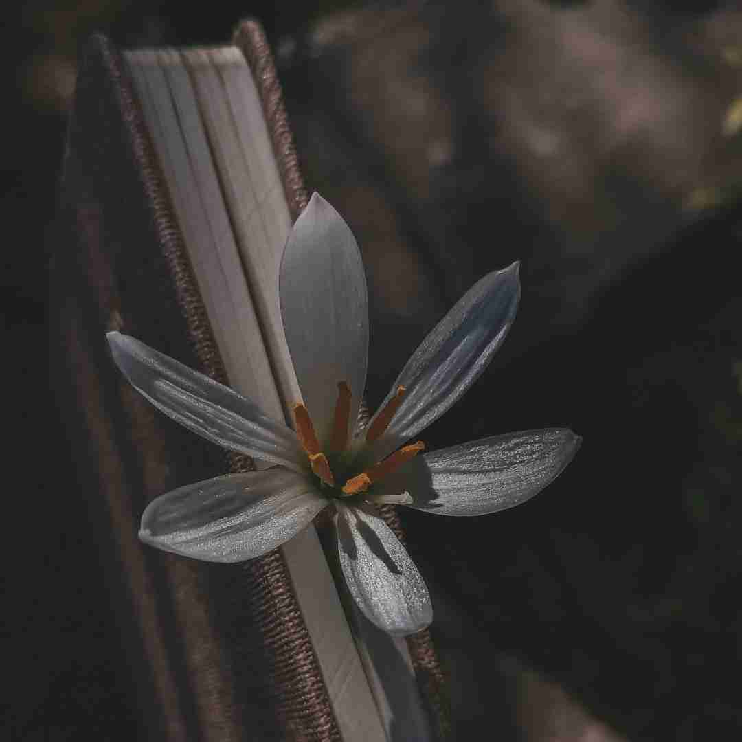 دانلود آهنگ دریا کنار دیجی سجاد