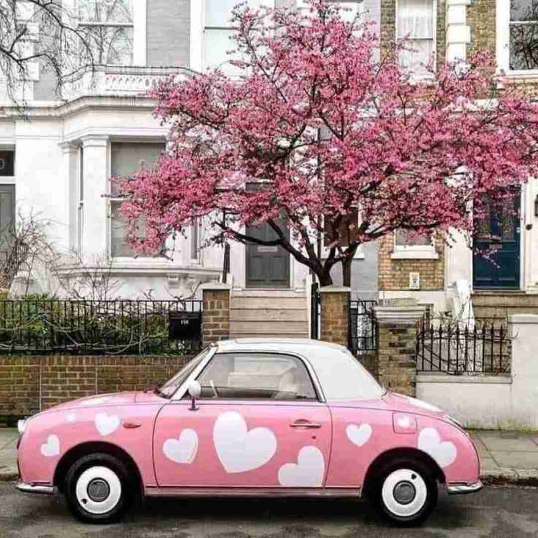 دانلود آهنگ دل من از تو جدا نیست این هوا بی تو هوا نیست با صدای زن 