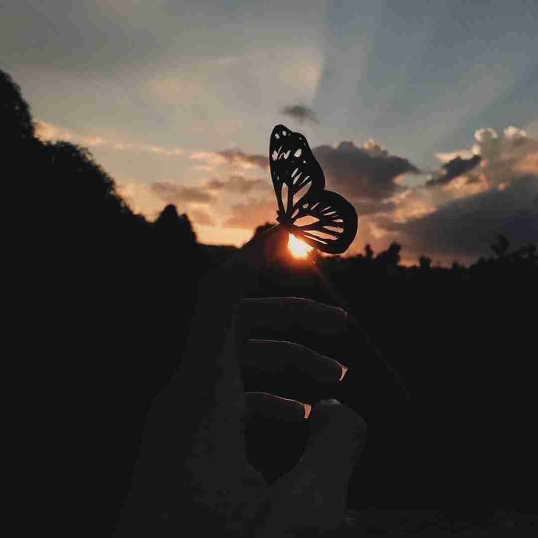 دانلود آهنگ سنگ فرش خیابونارو گل کردم برات - هوش مصنوعی