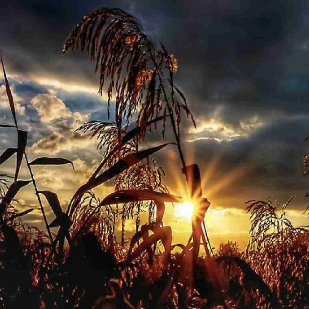 دانلود آهنگ من معطل توام نه مسخره اینا