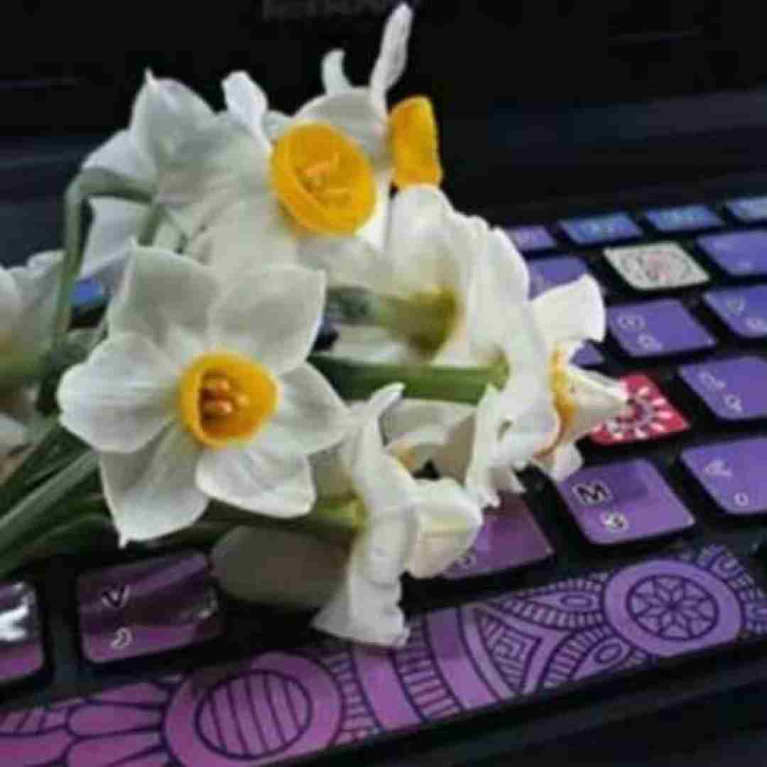 دانلود آهنگ دلی که رو هوا زدی دادی دست باد ببره با صدای زن
