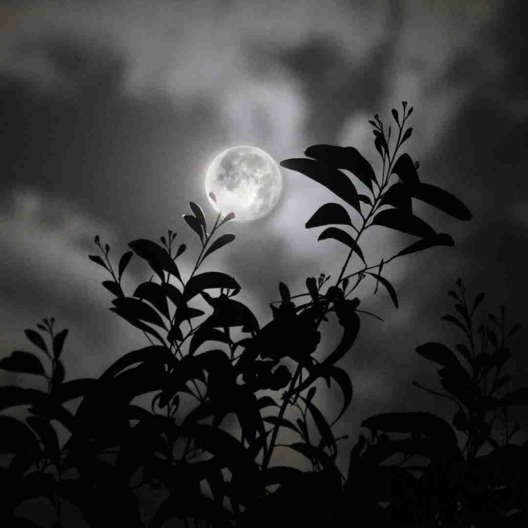 دانلود آهنگ دادا آهای داداشی با صدای زن - هوش مصنوعی