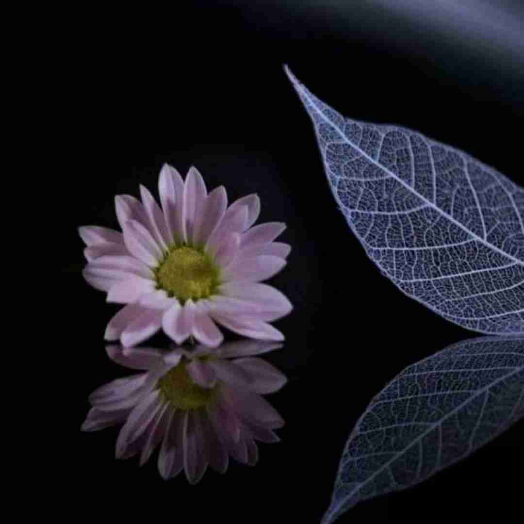 دانلود آهنگ الان تو با یکی دیگه خوبی مگه نه واست فرقی نداره