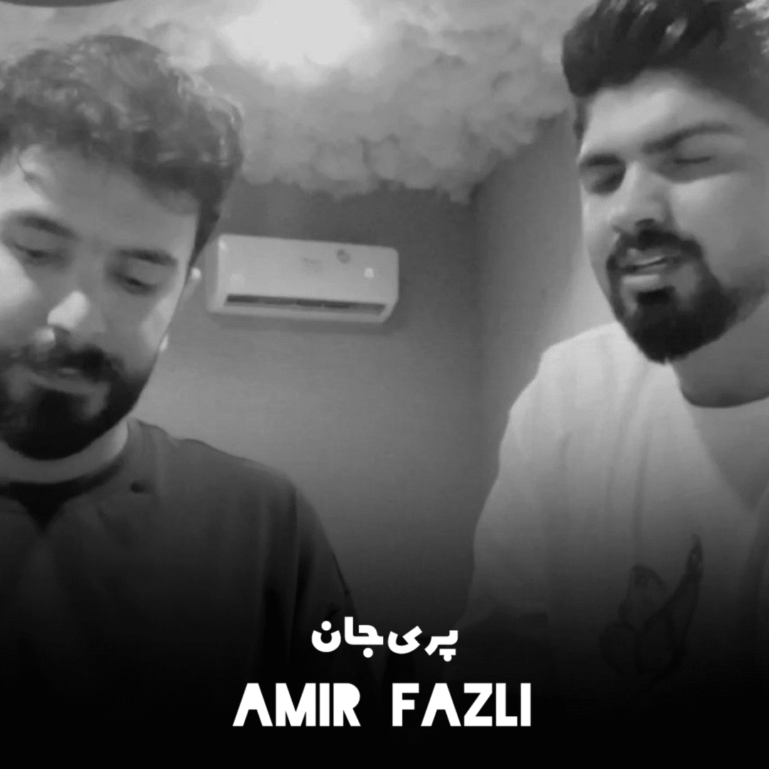 دانلود آهنگ پری جان امیر فضلی