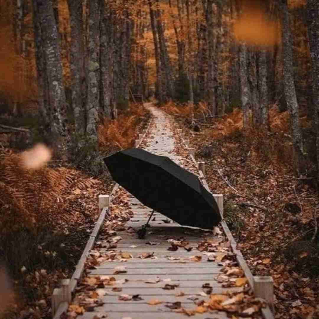 دانلود آهنگ راهم از تو دوره دوره دل من مگه سنگ صبوره