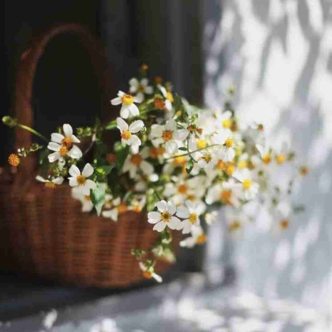 دانلود آهنگ امشب ختنه سورونه قراره بره کنار هرچی حد و حدوده