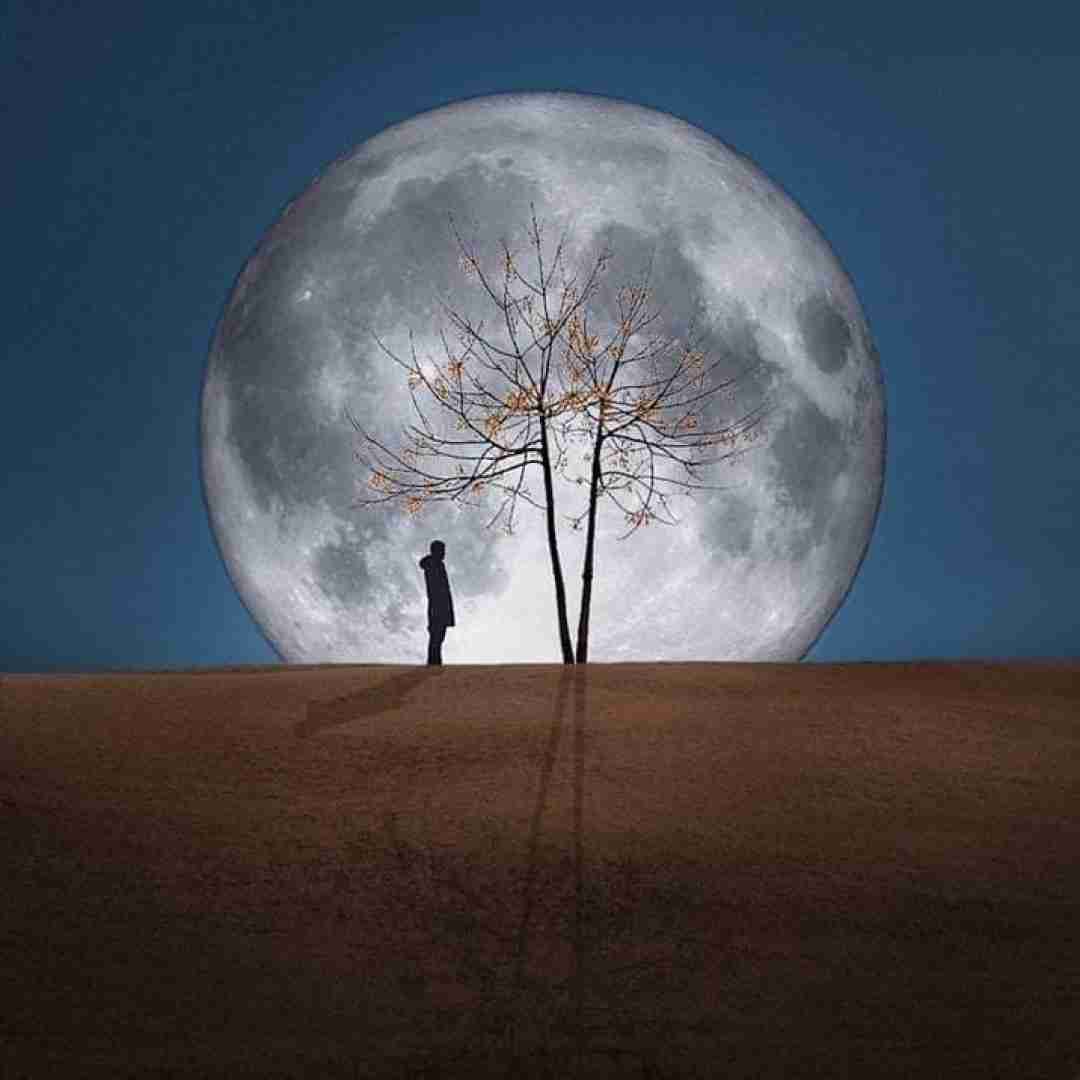 دانلود آهنگ قلبمو چه آسون کردی خاکش باز