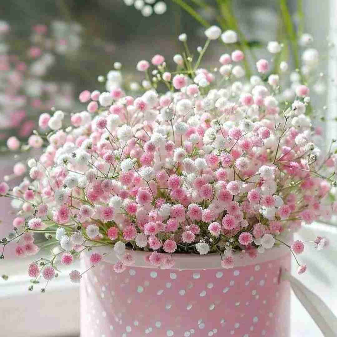 دانلود آهنگ دیوونه میکرد منو با لحن حرفاش دلم لک زده با صدای دختر اینستایی