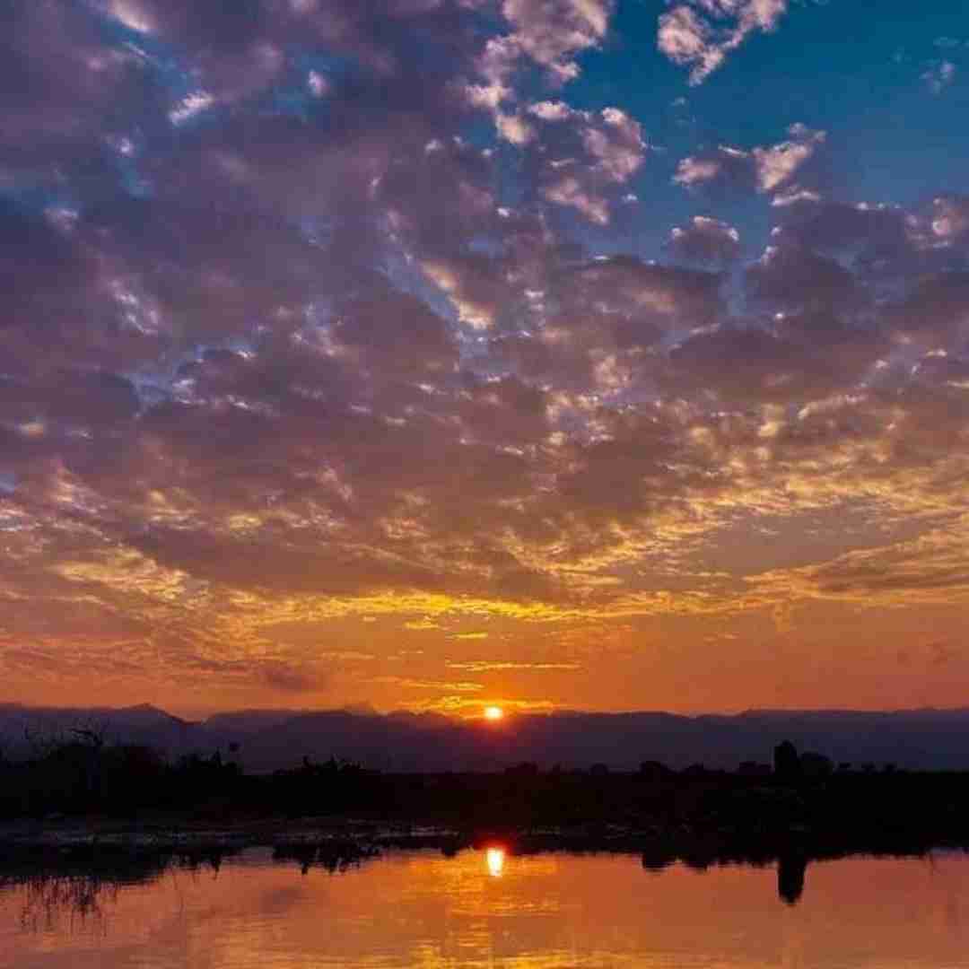 دانلود آهنگ من شه ننه ی قربون فاطمه عطایی