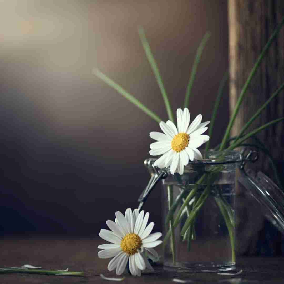 دانلود آهنگ تو نیستی ولی روحت با منه دوتایی با هم