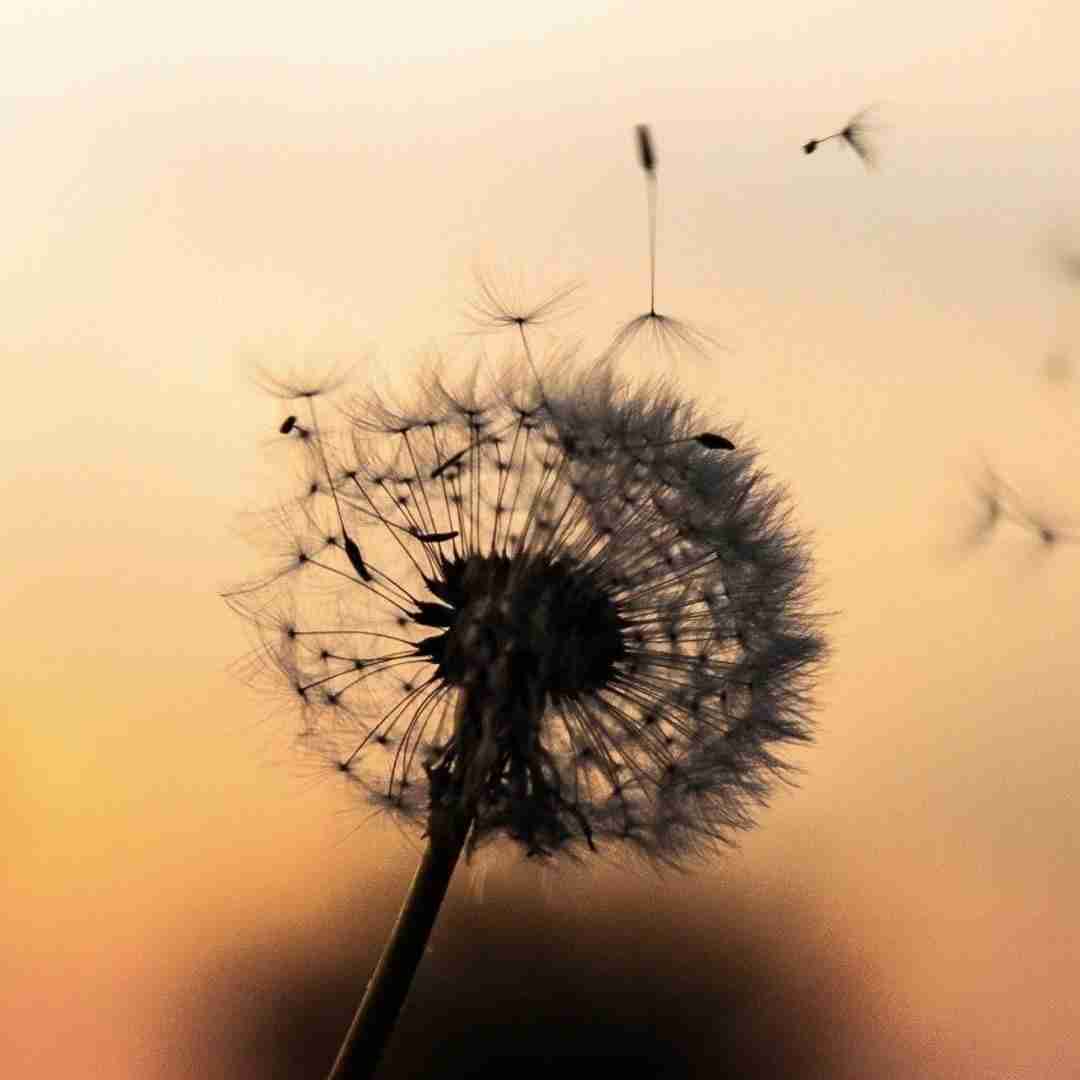دانلود آهنگ ای جان ای جان از کجای کیهان در قالب انسان