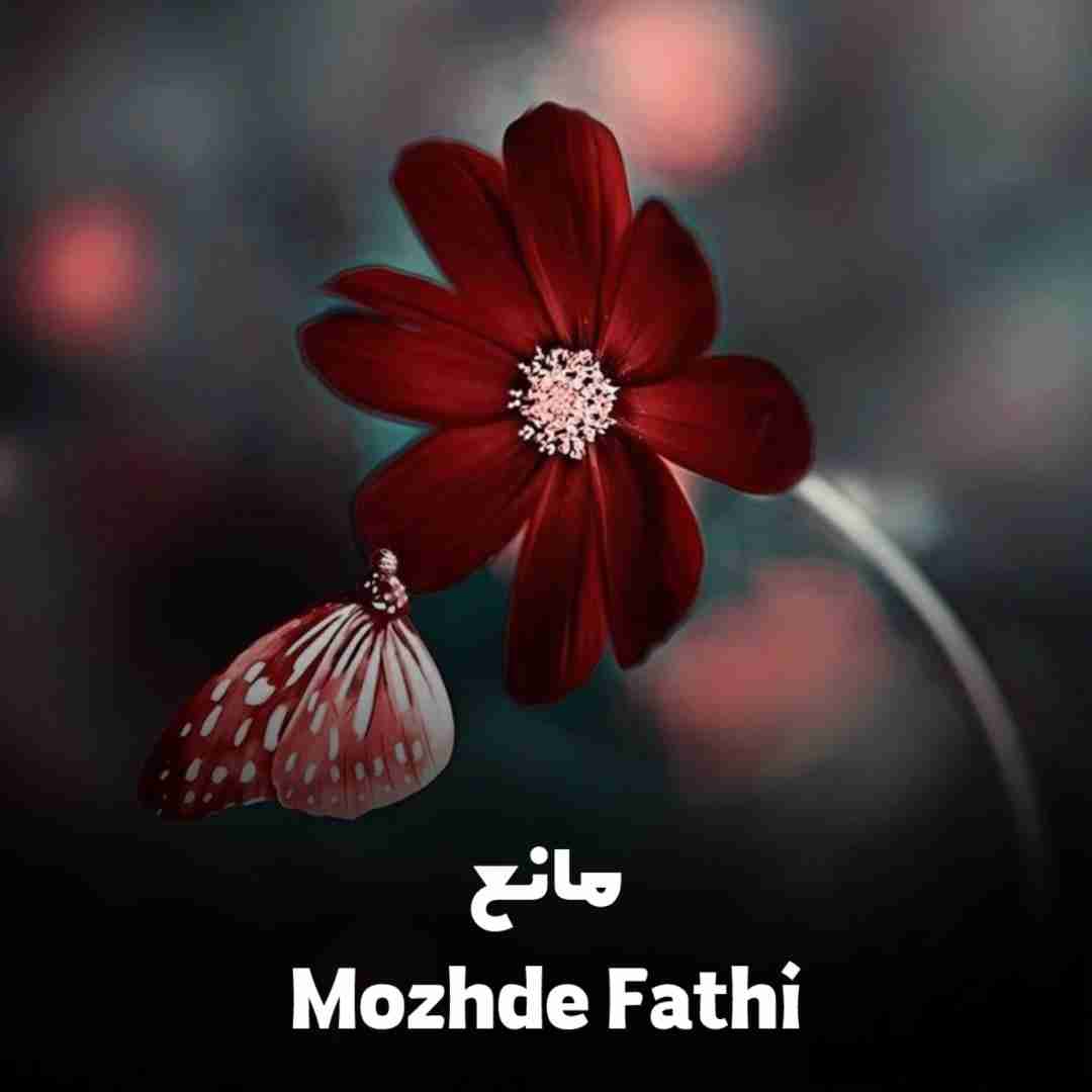 دانلود آهنگ مانع مژده فتحی