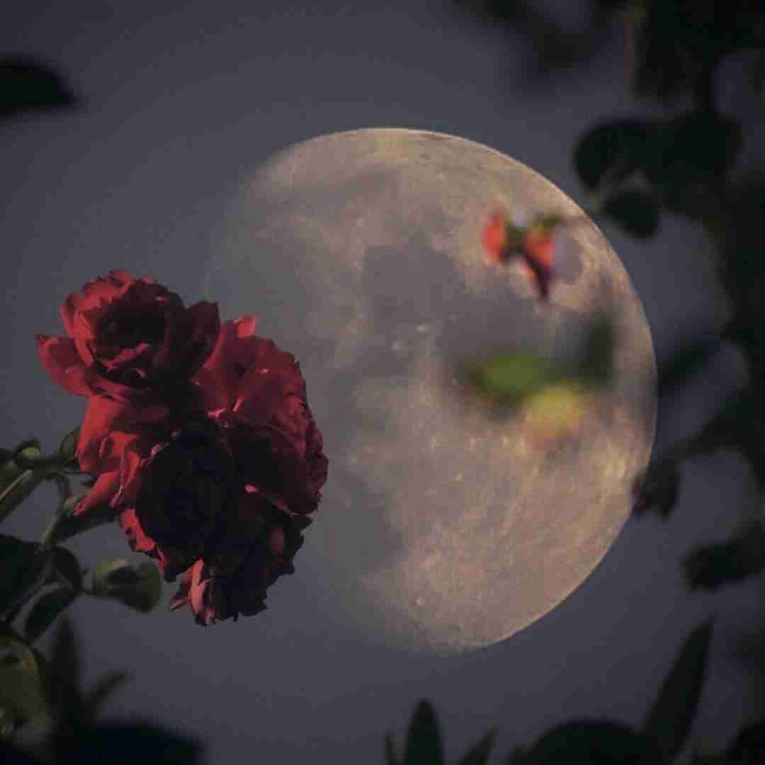 دانلود آهنگ بری بهتره قضیه رو کش نده