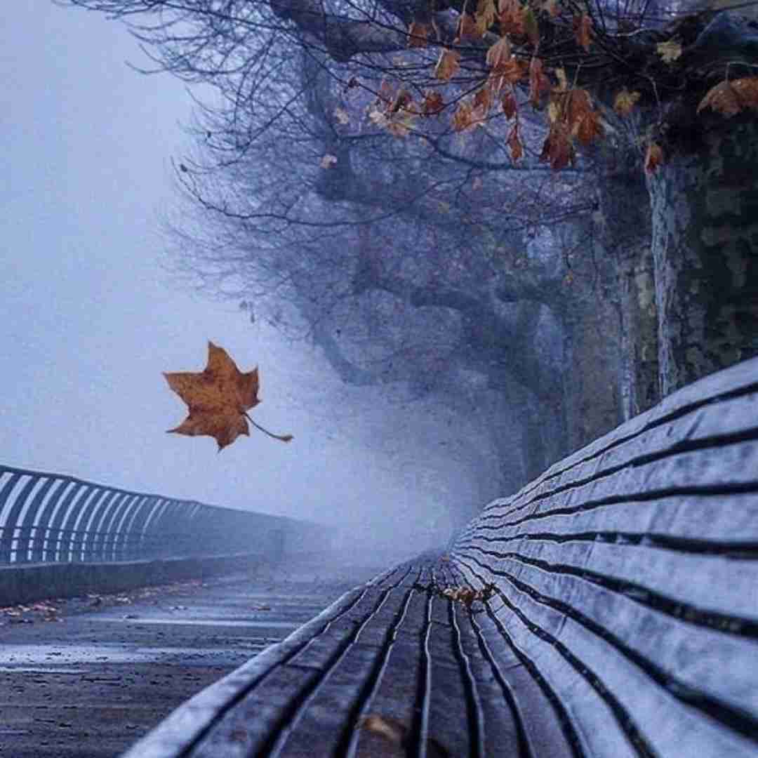 دانلود آهنگ تو برا اونا باشی فرقی نداره تاکسیکم مثت
