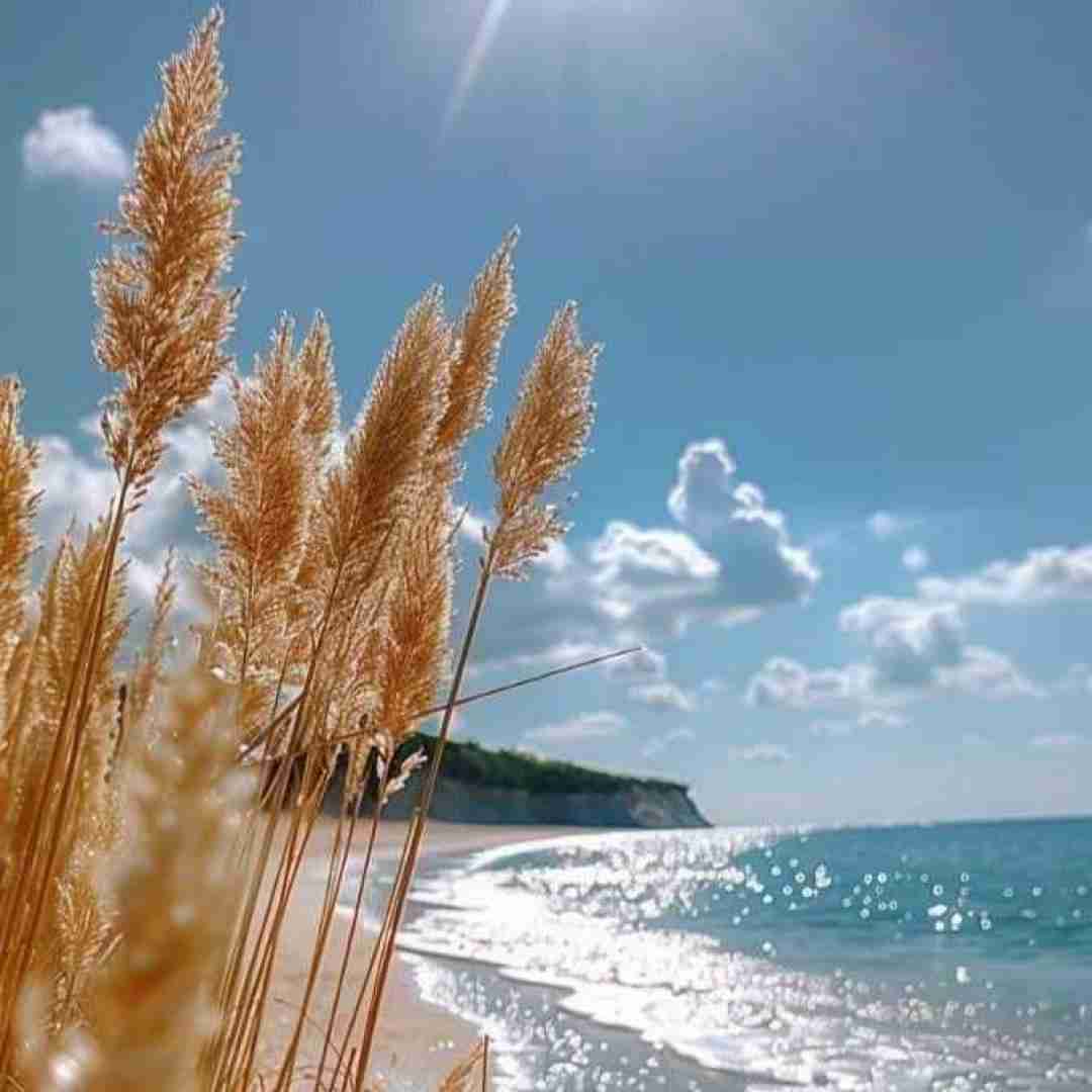 دانلود آهنگ روزا میگذره با خاطراتت باختم منه ساده