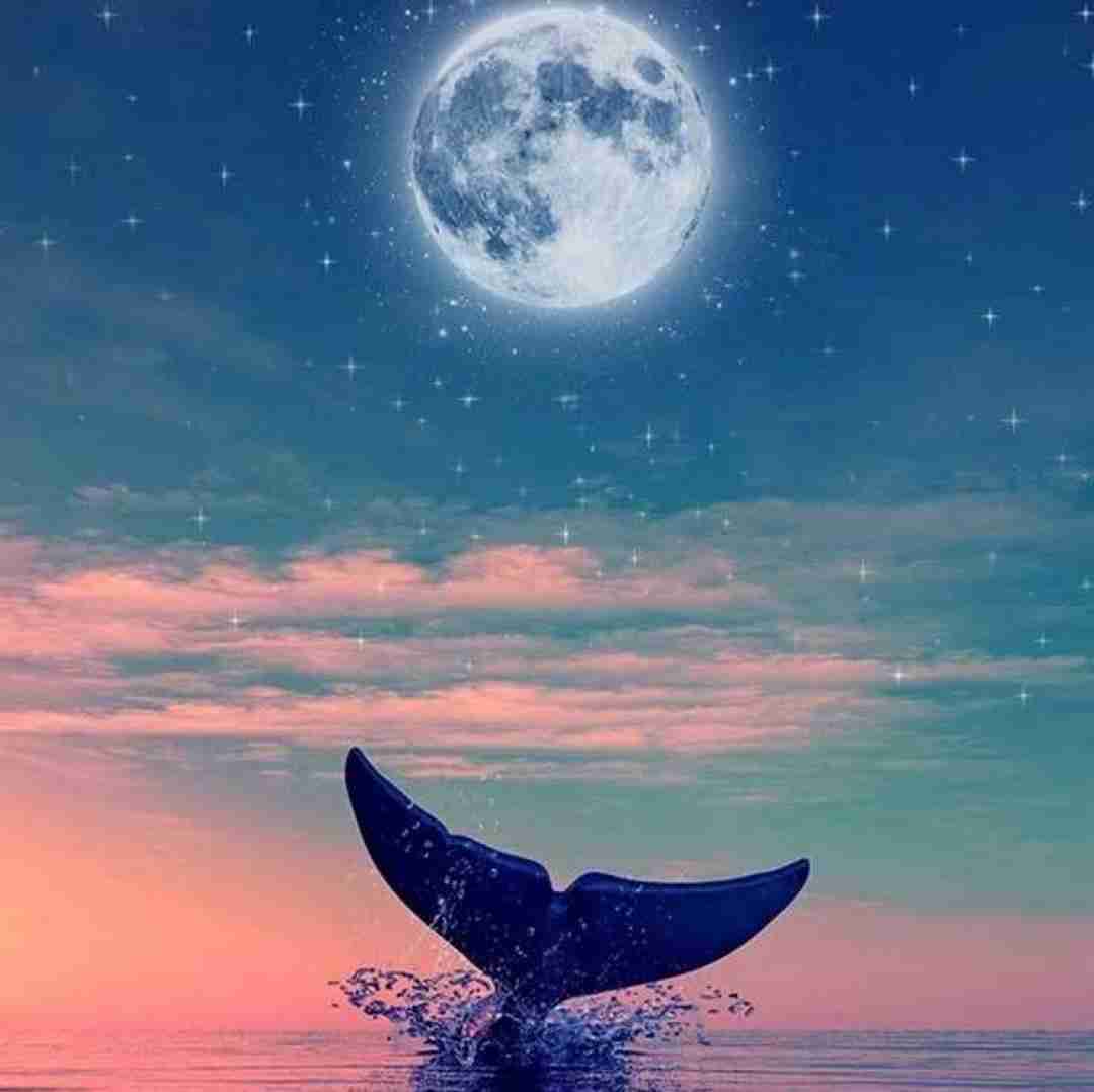 دانلود آهنگ منی که قلبم و روحم و جسمم تویی