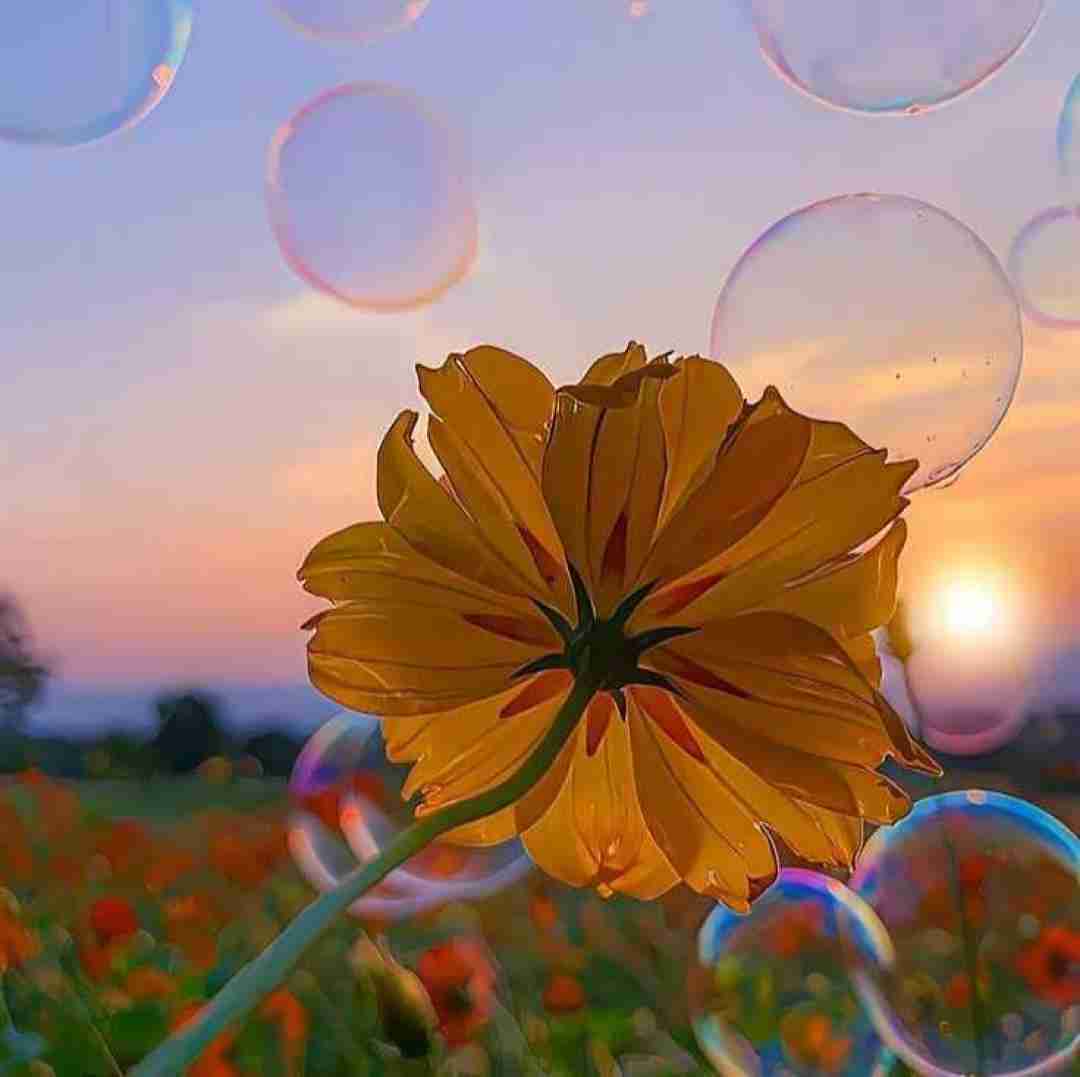 دانلود آهنگ فلک فاطمه عطایی