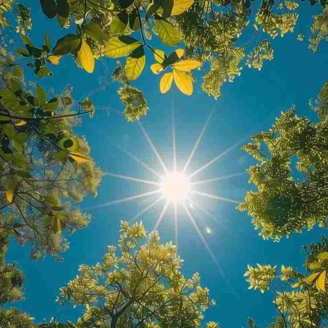 دانلود آهنگ دیدی معجزه کردی دلم پیش تو لرزید با صدای زن 