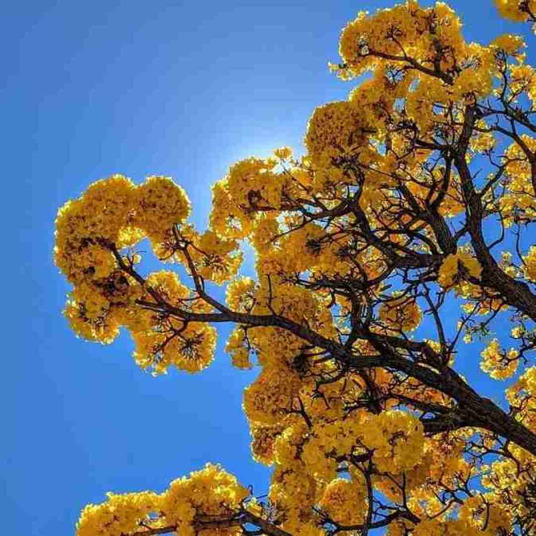 دانلود آهنگ ای عشق بچه ای مو همبازی قدیمی