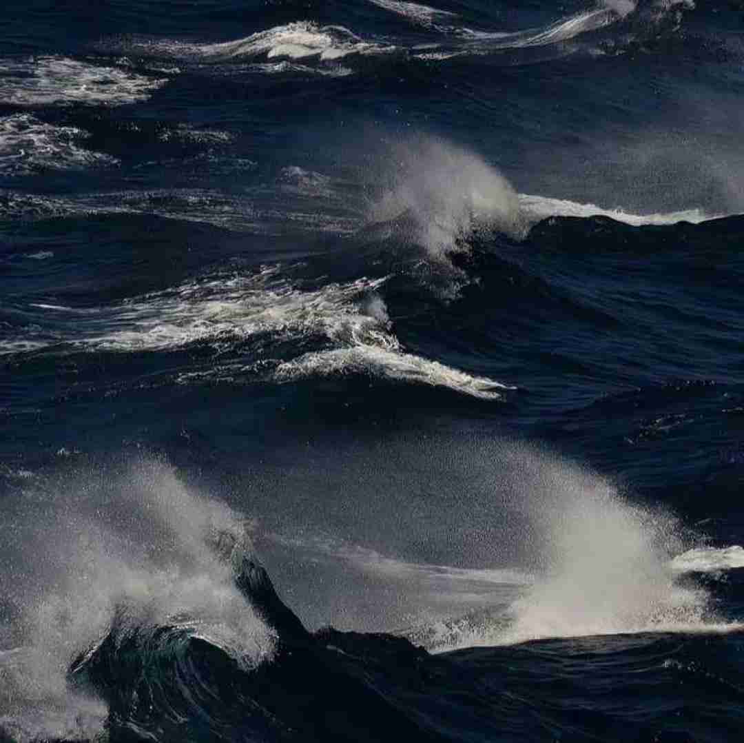 دانلود آهنگ ثاري بعذر الشافوج یشکون الثوب