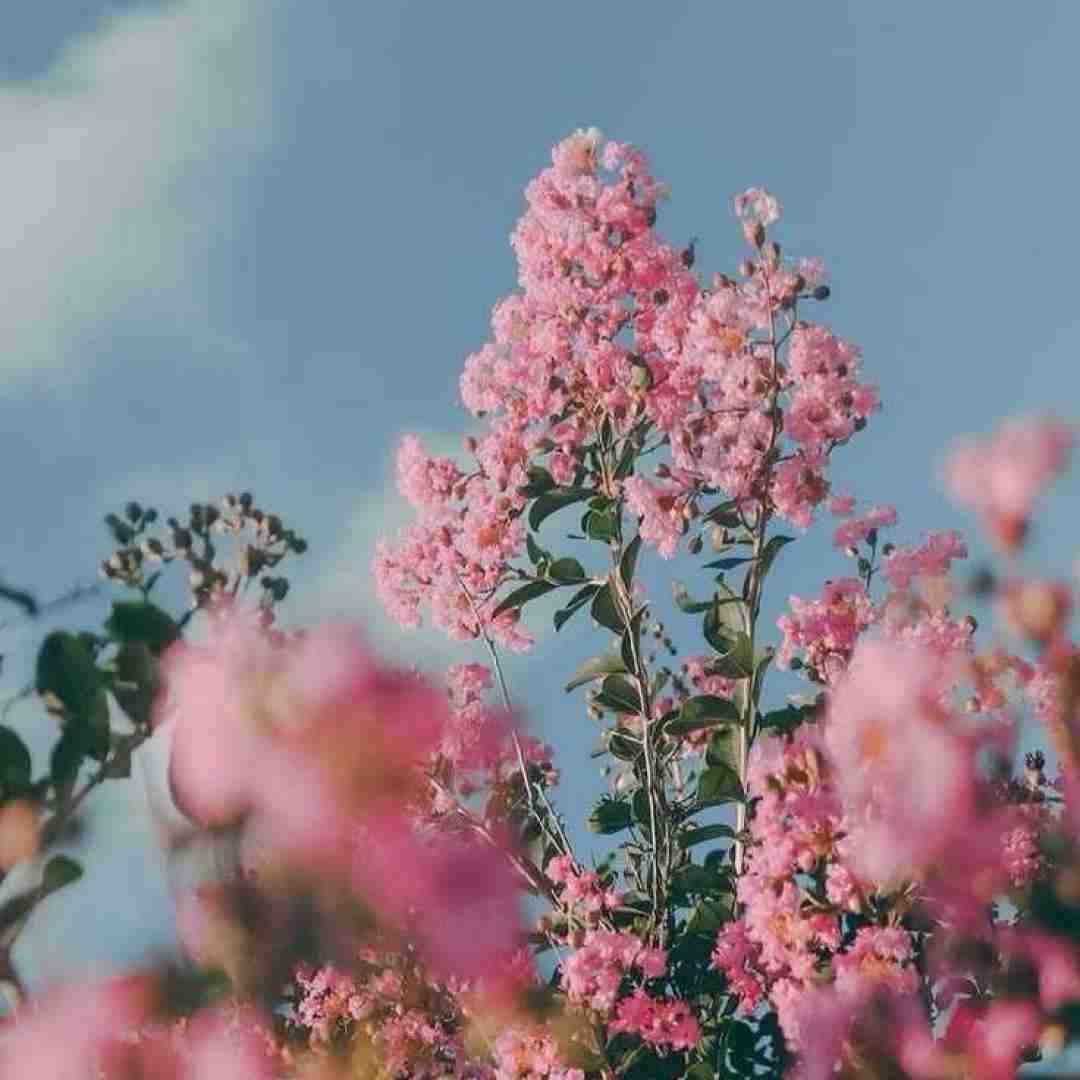 دانلود آهنگ شک نکن فاطمه مهلبان
