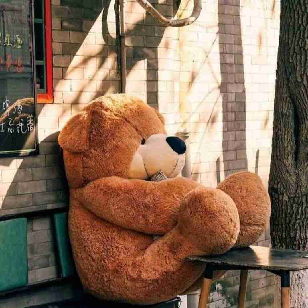 دانلود آهنگ بدو بیا فرفری جونم میدونی میترکونم