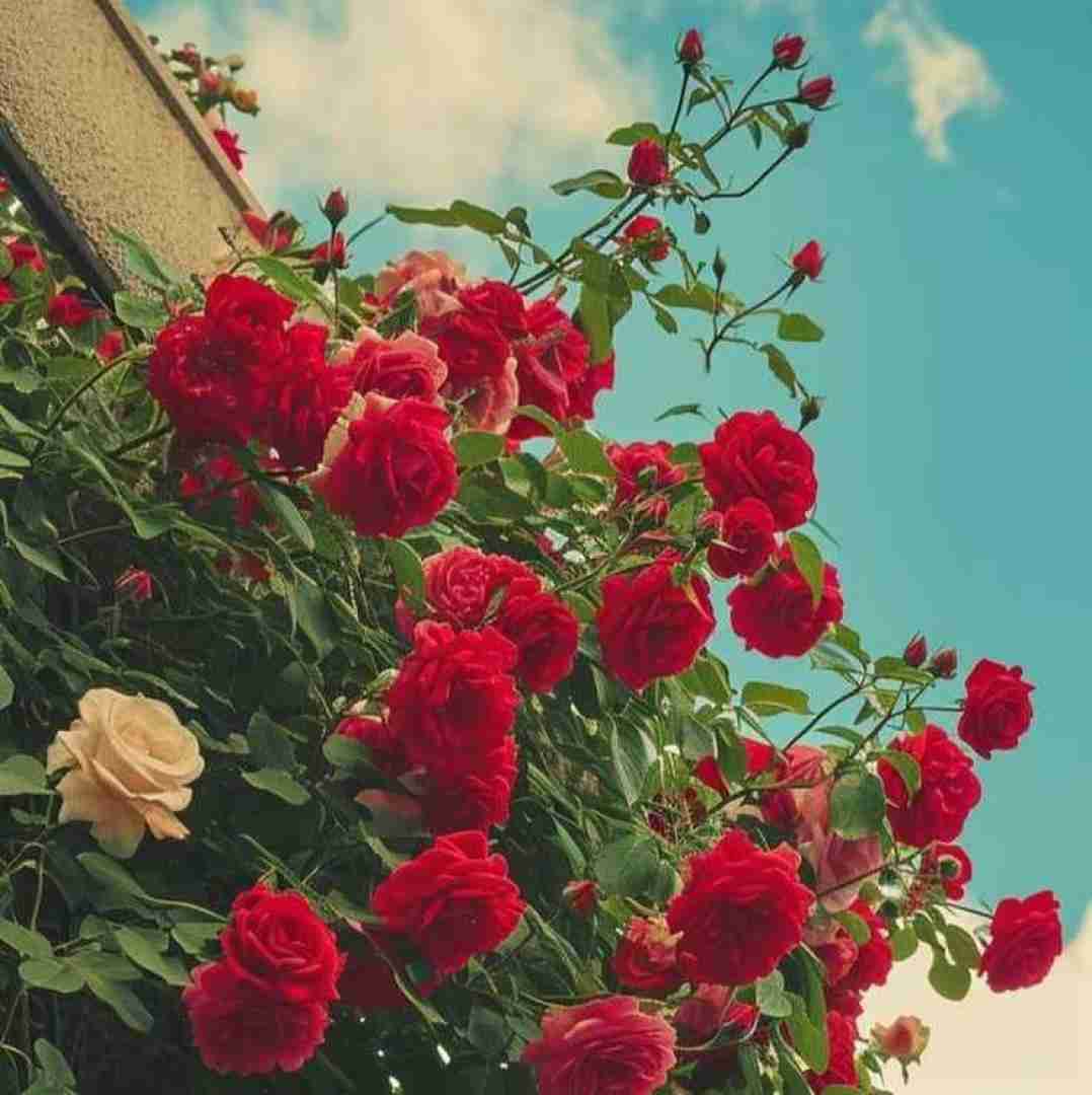 دانلود آهنگ اینجارو میخوامش با تو ندزد از من چشماتو