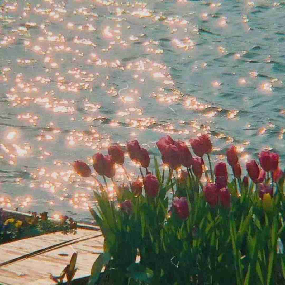 دانلود آهنگ سنگ فرش خیابونارو گل کردم برات فاطمه عطایی