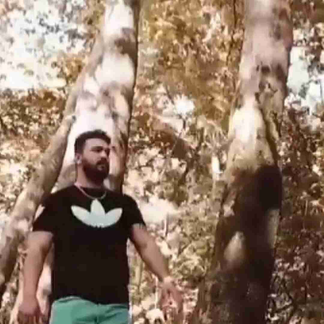 دانلود آهنگ خستم گرفتم فاز ترس یادته بشم گفتی رضا کرمی تارا