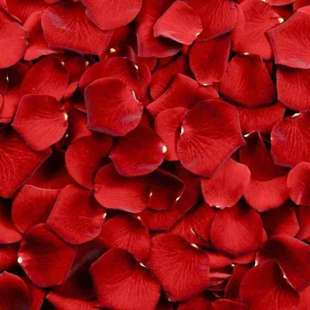 دانلود آهنگ برار تنها بومه فاطیما بابلی
