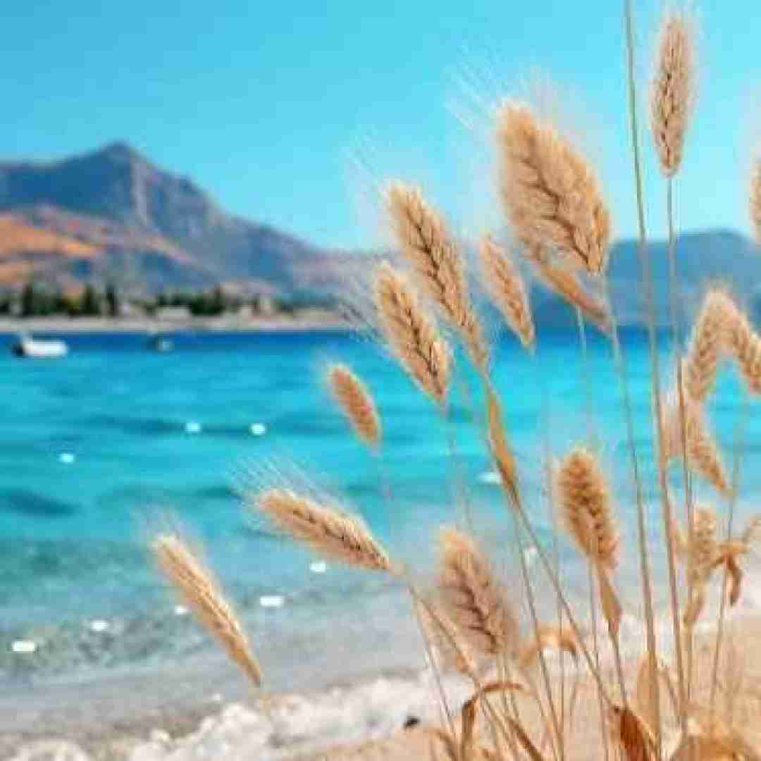 دانلود آهنگ آخرم بیدار موندیم کل شبو